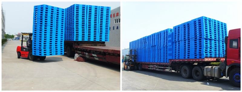 تولید و فروش پالت پلاستیکی