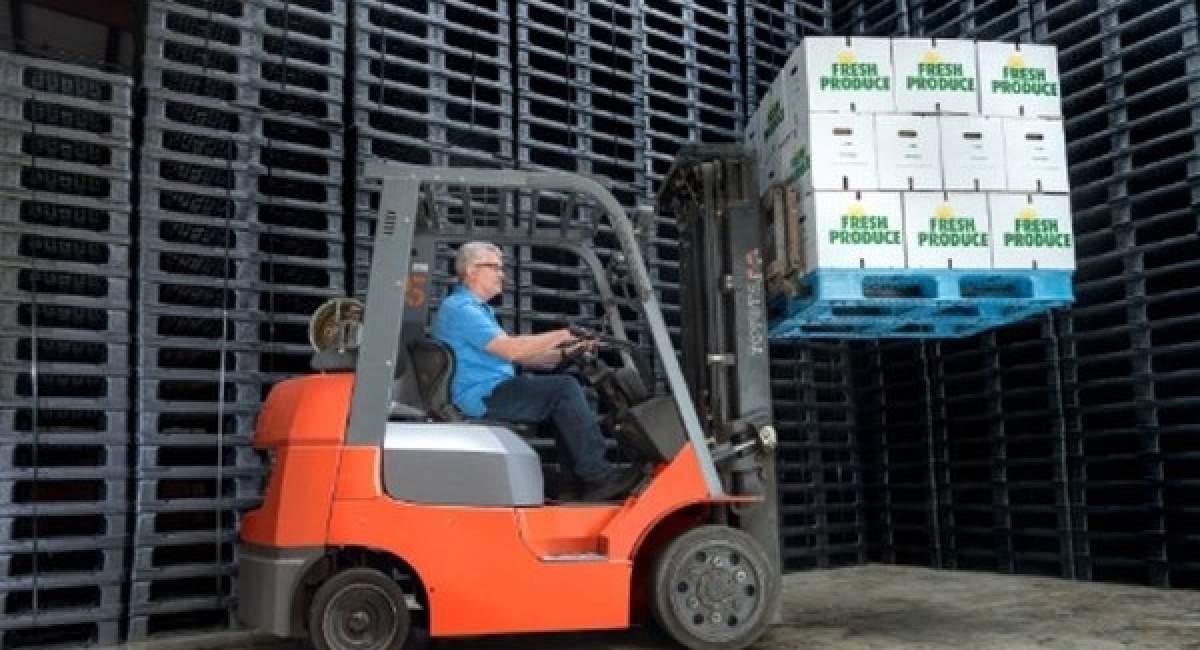 پالت پلاستیکی در غرفه داری